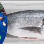 DORADE ROYAL frisch ausgenommen