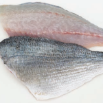 DORADE ROYAL frische Filets