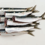 SARDINE frisch ausgenommen ohne Kopf