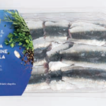 SARDINE frische Filets