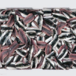 SARDINENFILETS frische ungeordnete