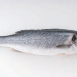 WOLFSBARSCH frisch rundausgenommen