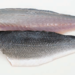 WOLFSBARSCH frische Filets