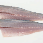 WOLFSBARSCH frische Filets